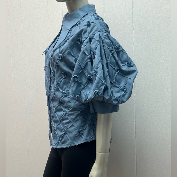 Rose Bud Blue Puff Sleeves Pointed Collar Button Down Blouse - Picture 5 of 7